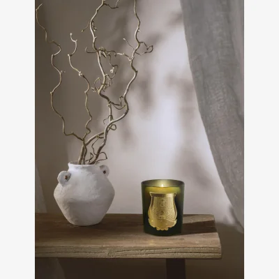 Westwing Handmade Scented Candle Solis Rex (Fir Bark)