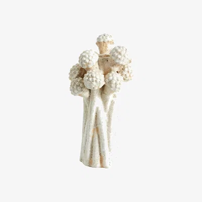 Amara FUNGI candlehol 00