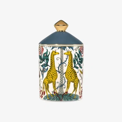 Amara Emma J Shipley - Kruger Candle - Aromatic Woods