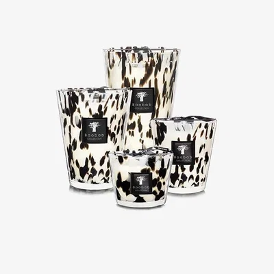Barker and Stonehouse Baobab Collection Black Pearls Scented Candle | Barker & Stonehouse