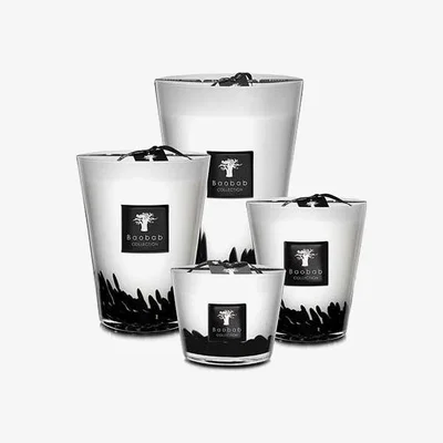 Barker and Stonehouse Baobab Collection Feathers Scented Candle | Barker & Stonehouse