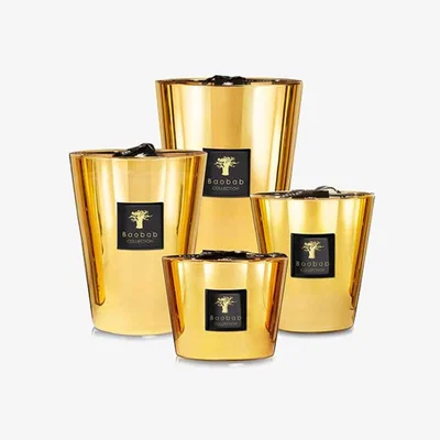 Barker and Stonehouse Baobab Collection Les Exclusives Aurim Scented Candle | Barker & Stonehouse