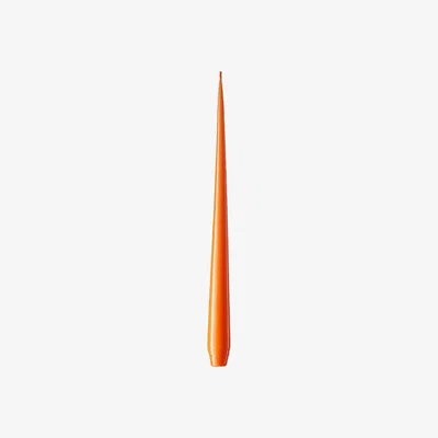 The Conran Shop Tapered Candles Persimmon Set of 2