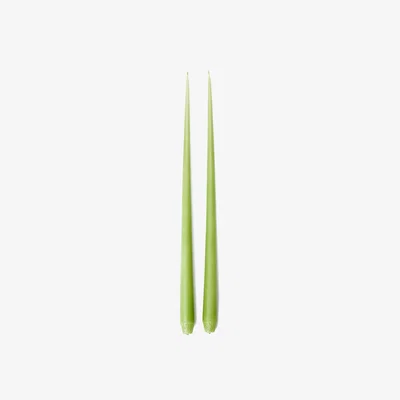 The Conran Shop Tapered Candles Lime Green Set of 2 By The Conran Shop