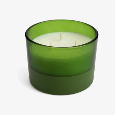 Habitat Habitat Scented Multi Wick Candle - Fig Leaf & Amber