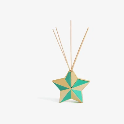 Habitat Habitat 100ml Candied Diffuser - Ginger & Nutmeg