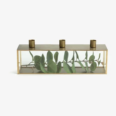 Habitat Habitat Taper 3 Candle Glass Holder