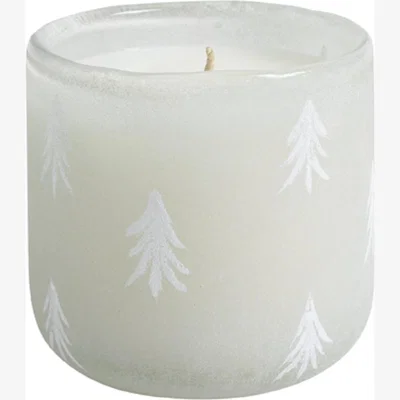 Habitat Habitat Small Frosted Scented Candle - Fir Balsam