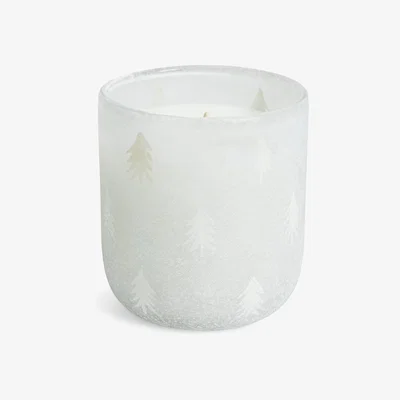 Habitat Habitat Large Frosted Jar Candle - Fir & Balsam