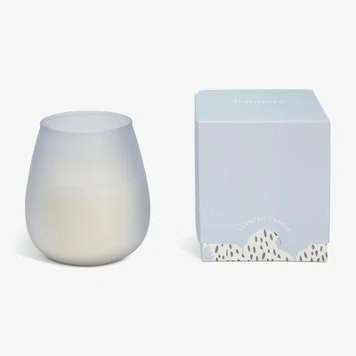 Habitat Habitat Medium Boxed Candle - Cypress Sage & Bergamot