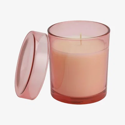 Habitat Habitat Candle with Lid - Wild Jasmine & Pineapple Flower