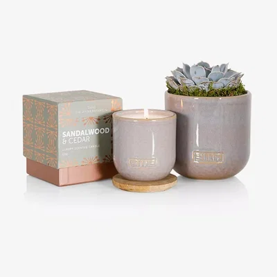 John Lewis The Little Botanical Touch of Grey Candle Gift Set