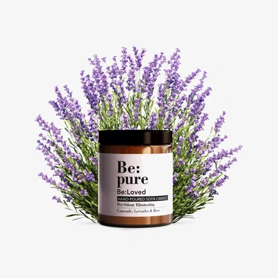 John Lewis Be:Loved Pure Pet Odour Eliminating Scented Candle, 150g
