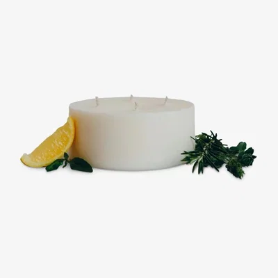 John Lewis Pott Candles Eden Candle Refill, 600g