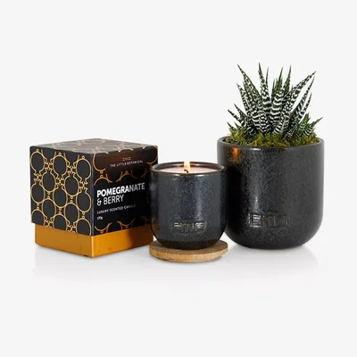 John Lewis The Little Botanical Back to Black Candle Gift Set