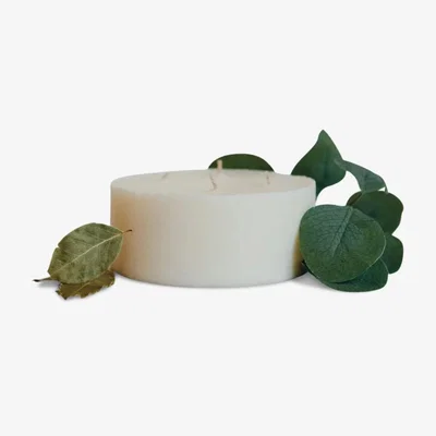 John Lewis Pott Candles Eucalyptus Candle Refill, 600g