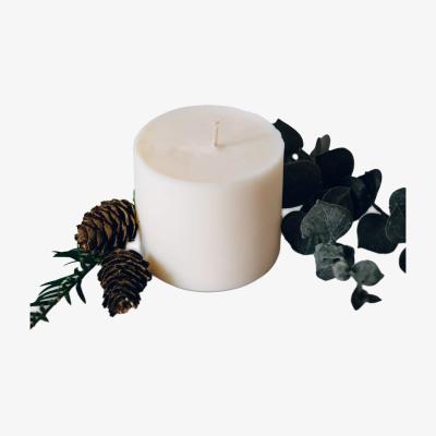 John Lewis Pott Candles Fir Scented Candle Refill, 290g