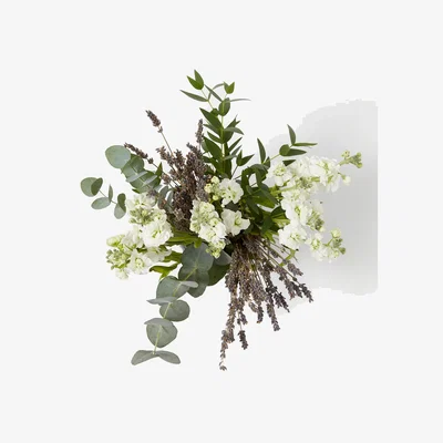 Marks & Spencer Apothecary Calming Bouquet with Calm Candle & Diffuser
