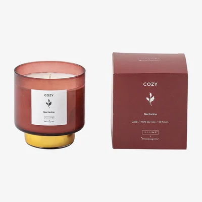 Nordic Nest Cozy Nectarine scented candle 222 g