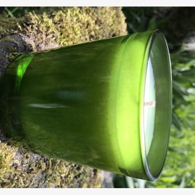 The Range Rainforest Eden Candle - Green Glass