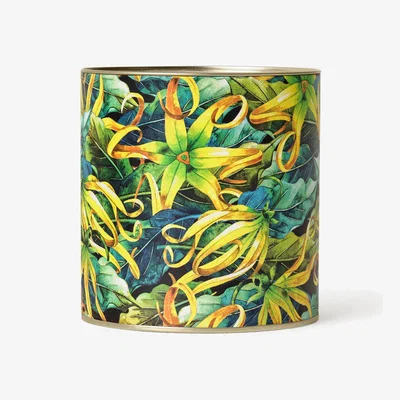 Sazy Ylang Ylang Candle, Green, 410 g