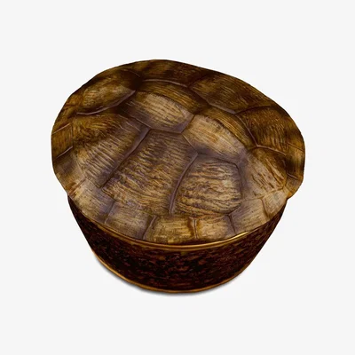 Tobias Oliver L'Objet I Turtle Candle