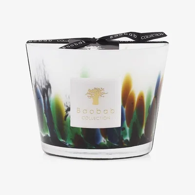 Tobias Oliver Baobab | Rainforest Amazonia Max 10