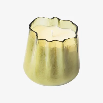 Wolf & Badger Design Collection - Christmas Green - Vanilla, Vetiver & Frankincense Theta Naturals Co.