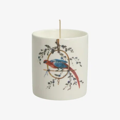 Wolf & Badger Bone China Candle Le Perroquet Castlebird Rose
