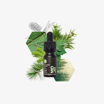 Wolf & Badger Mojo - Forest Bathing Wellness Diffuser Blend One Size Candascent Labs
