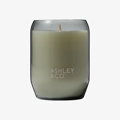 Wolf & Badger Waxed Perfume Scented Candle Parakeets & Pearls Ashley & Co