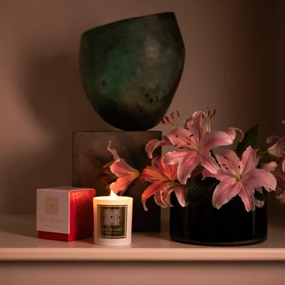 Wolf & Badger Red Root Chakra Candle Love in Light