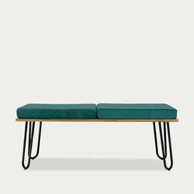 Bombinate.com Turquoise Bench Corgi I Black FST0254