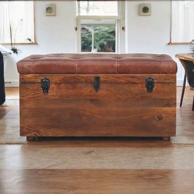The Range Brown Buffalo hide leather Storage Trunk - Brown