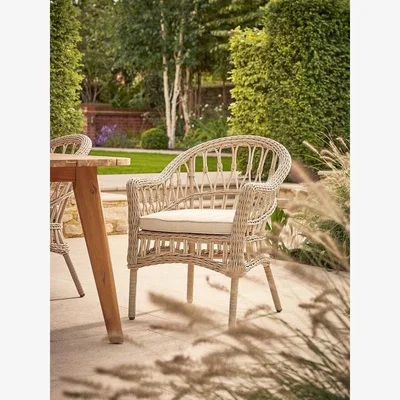 Cox and Cox Two Decorative Weave Dining Chairs