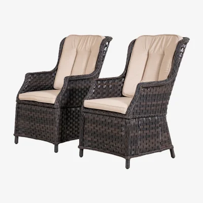 The Range 2-Piece Garden Detachable Aluminium Rattan Chairs - Brown