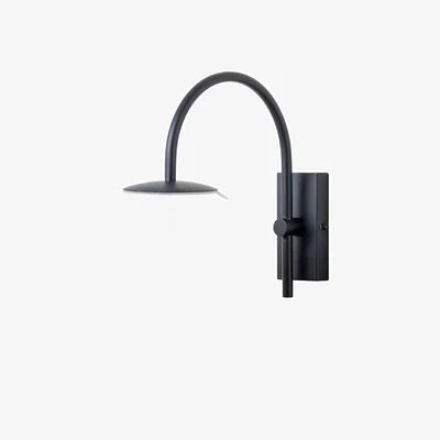 Amara Outdoor Hanging Globe Wall Light