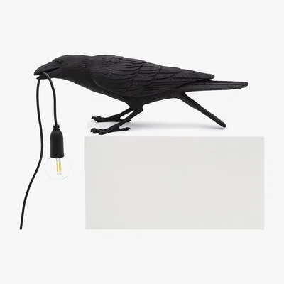 Amara Seletti - Bird Outside Lamp - Playing - Black