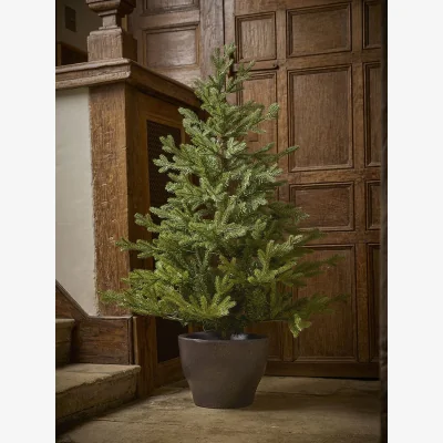 Cox and Cox Indoor Outdoor Light Up Potted Pine Tree