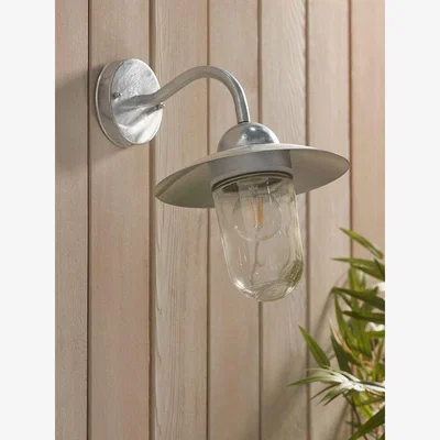 Cox and Cox Zinc Swan Neck Wall Light