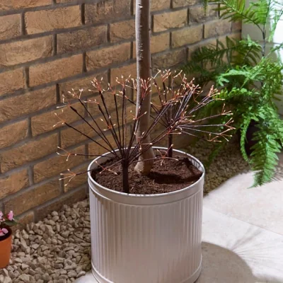 Dunelm Set of 2 Dandelion Solar Stake Lights