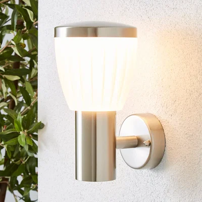 Dunelm Rover LED Frosted Shade Steel Outdoor Wall Light Silver