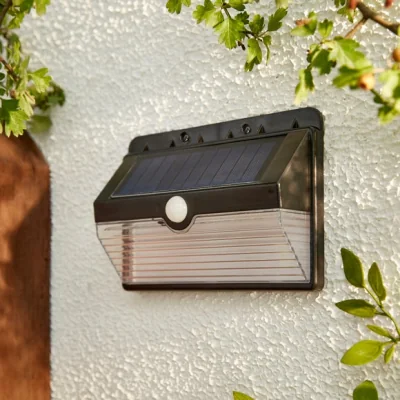 Dunelm Solar Outdoor Sensor Wall Light