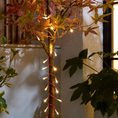 Dunelm Low Voltage 100 LED String Lights