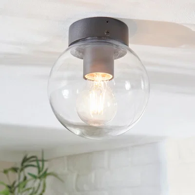Dunelm Sligo Industrial Flush Outdoor Ceiling Light Clear