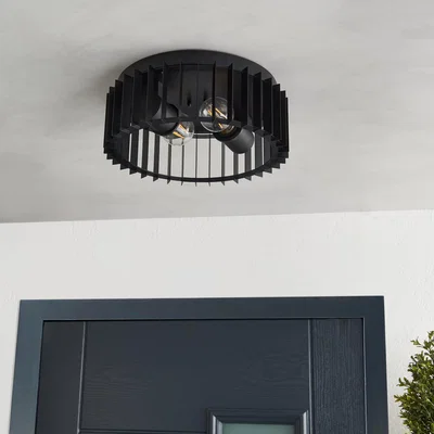 Dunelm Reno Industrial Outdoor 2 Light Flush Ceiling Light