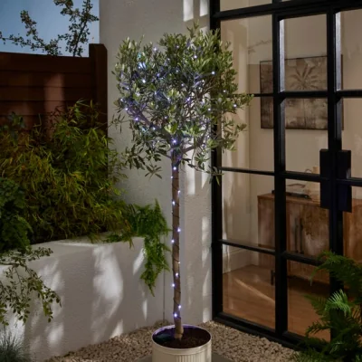 Dunelm Green Copper 50 LED String Lights