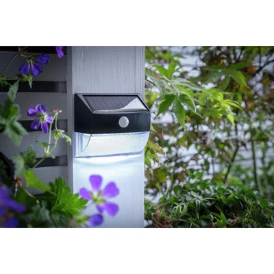 Habitat Habitat White Motion Detector LED Solar Light