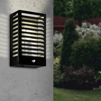 Homebase Eglo Alamonte Outdoor Wall Light