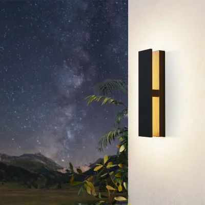 Pagazzi Costorio Black LED Outdoor Wall Light